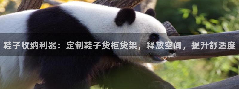 杏运娱乐平台注册地址在哪里