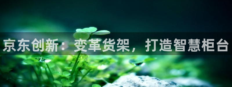 杏运注册登录地址