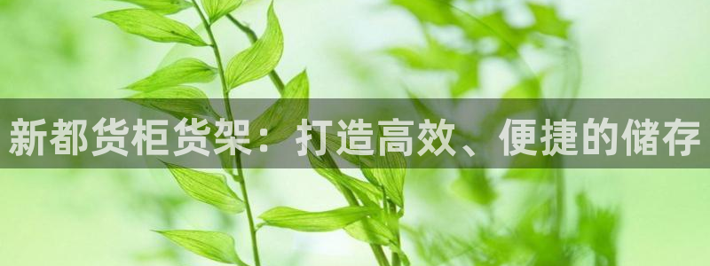 杏运注册登录地址