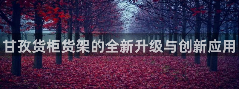 杏运娱乐官网：甘孜货柜货架的全新升级与创