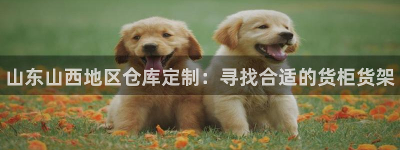 杏运娱乐怎么样