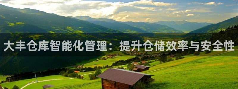 杏运体育官网：大丰仓库智能化管理：提升仓