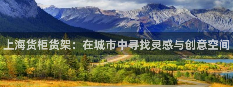 杏运平台官方网站：上海货柜货架：在城市中