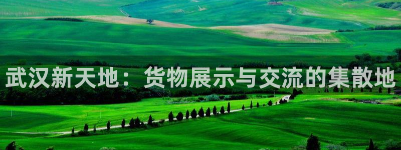 杏运娱乐平台注册地址：武汉新天地：货物展